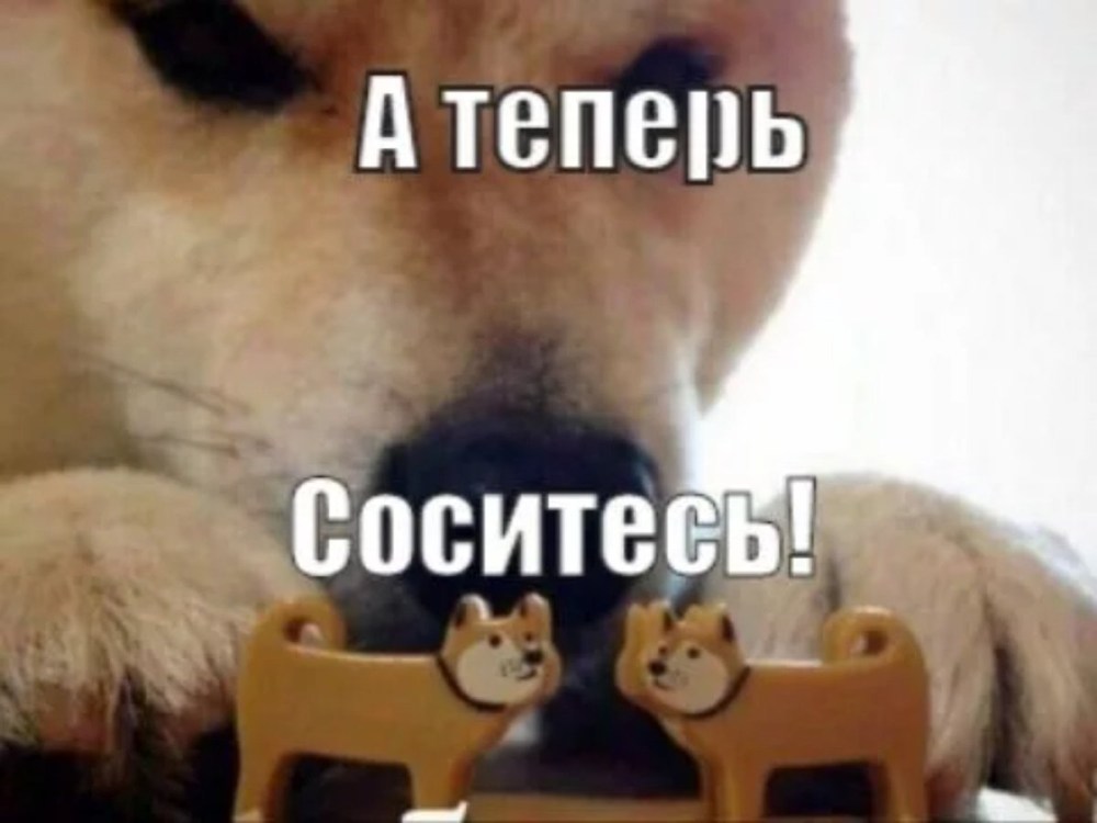 Соситесь Мем