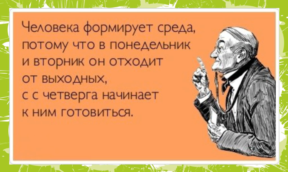 Среда цитаты