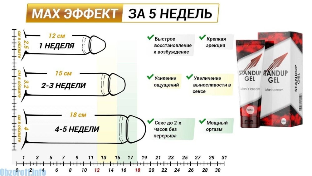 Методика увеличения члена