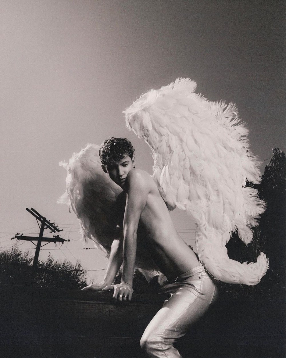 Трой Сиван обложка альбома Angel Baby