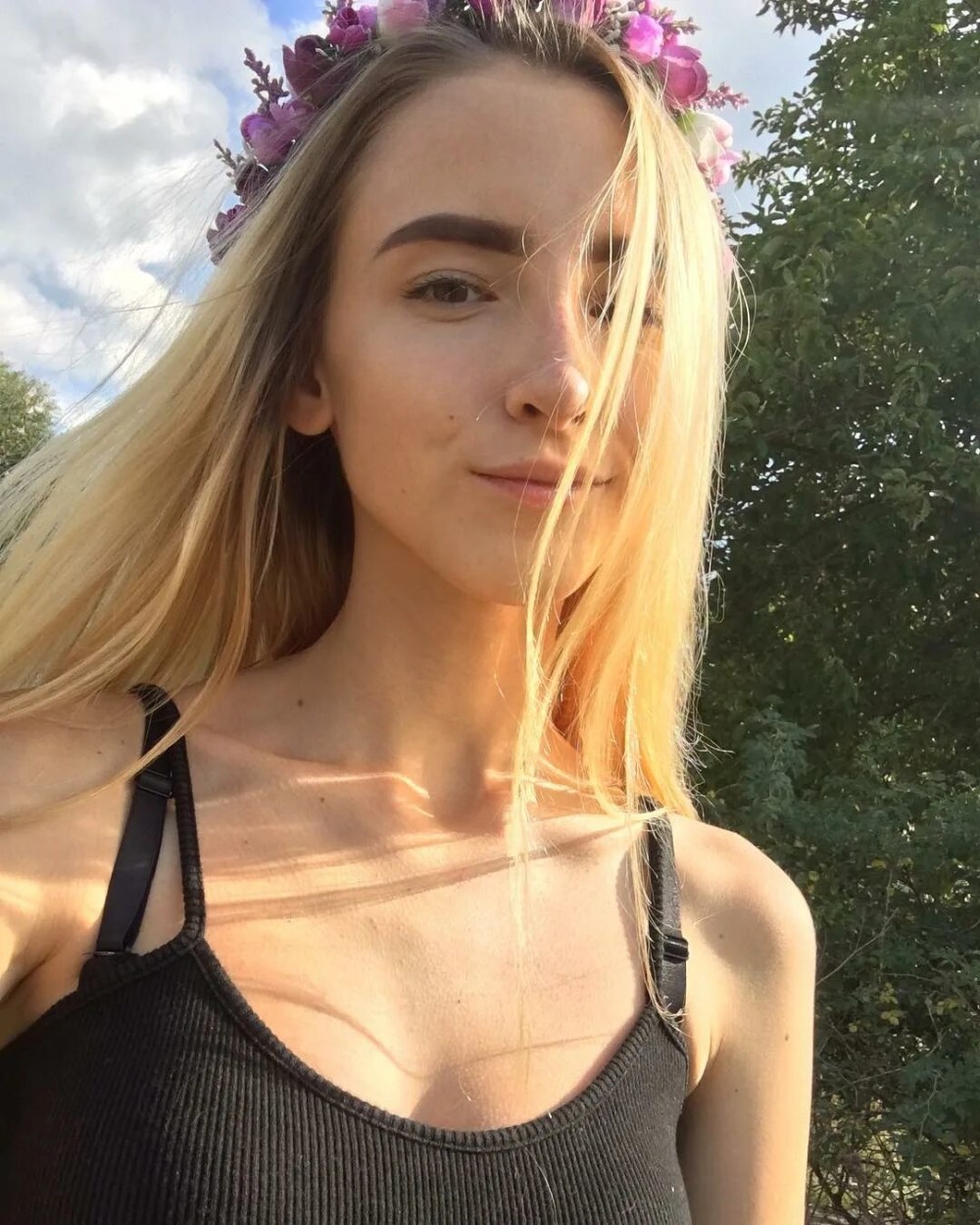 Сливы дошика