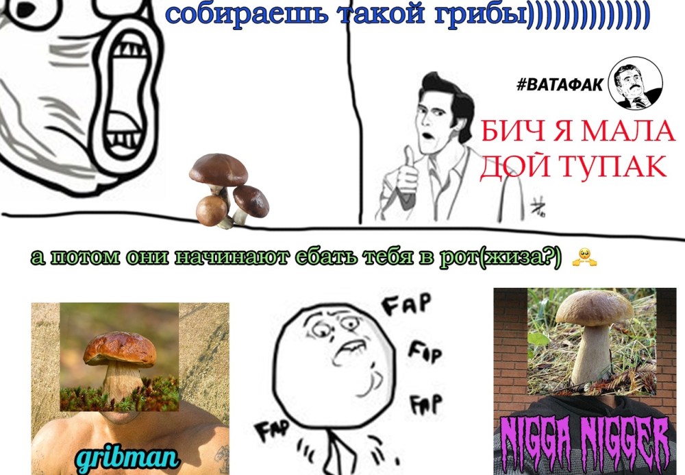 Пошла за грибами и была выебана