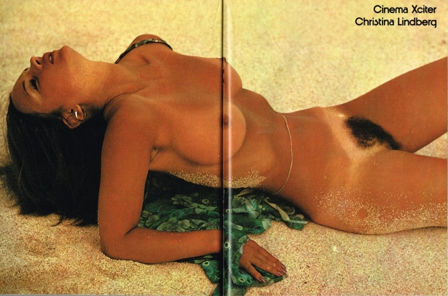 Кристина Линдберг Christina Lindberg xxx