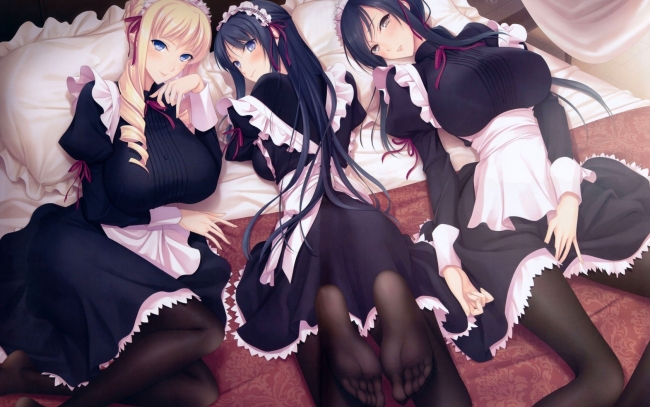 Walkure romanze горничные