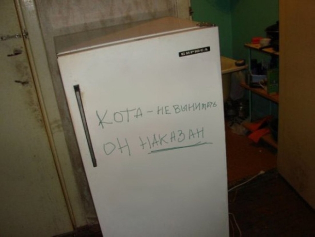 Смешной холодильник