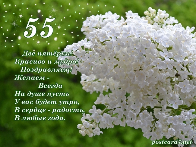 Белая сирень