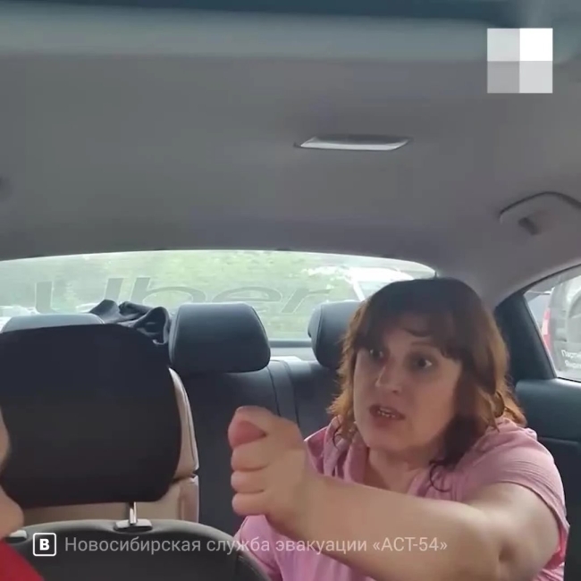 Расплатилась натурой